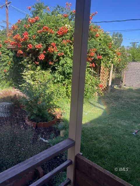 103 North Clay Street Independence, CA 93526 - Photo 21 of 25 a view of a yard with potted plants