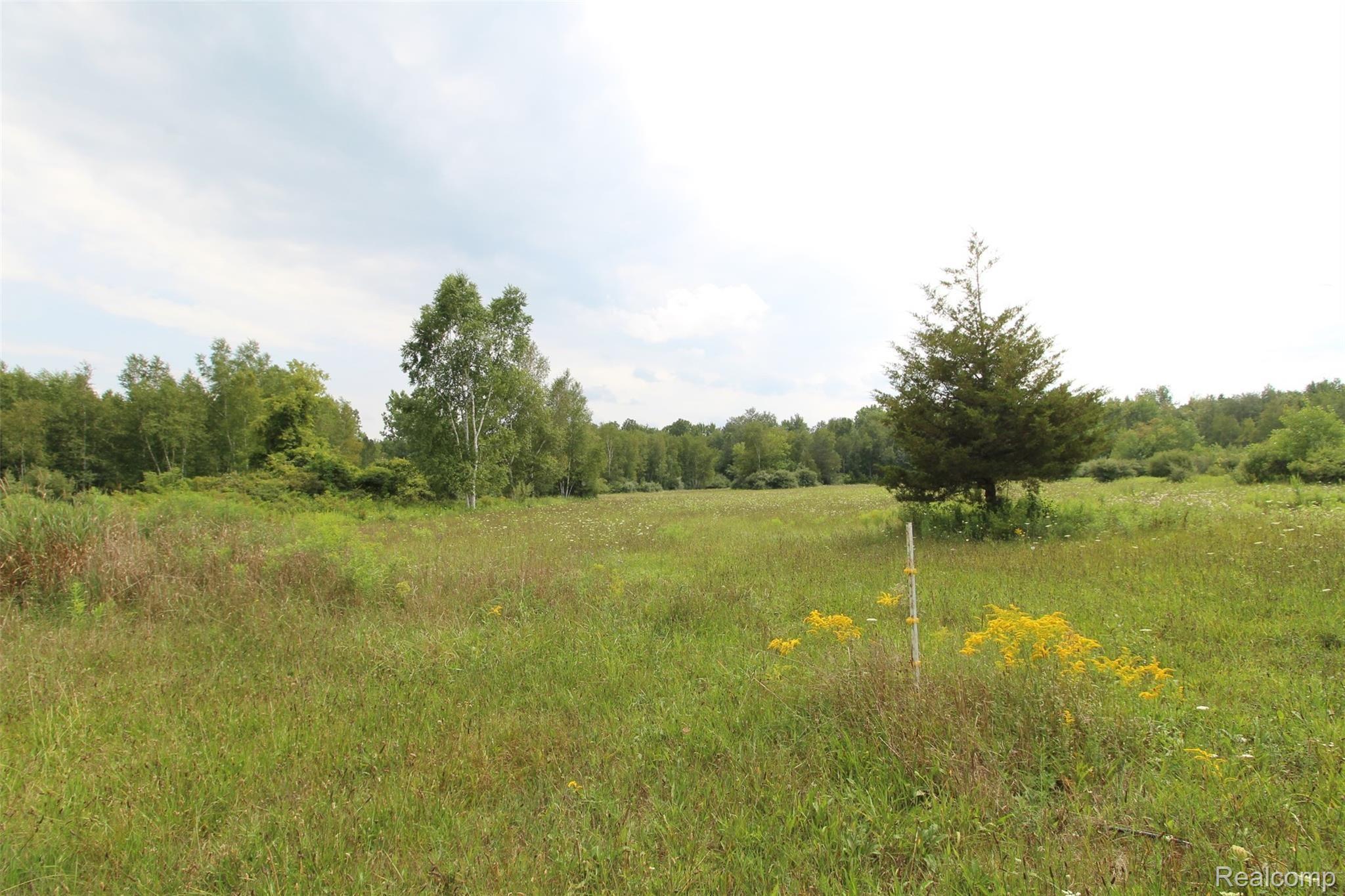 3590 James Road Caro, MI 48723 - Photo 50 of 65 IMG_9047.JPG