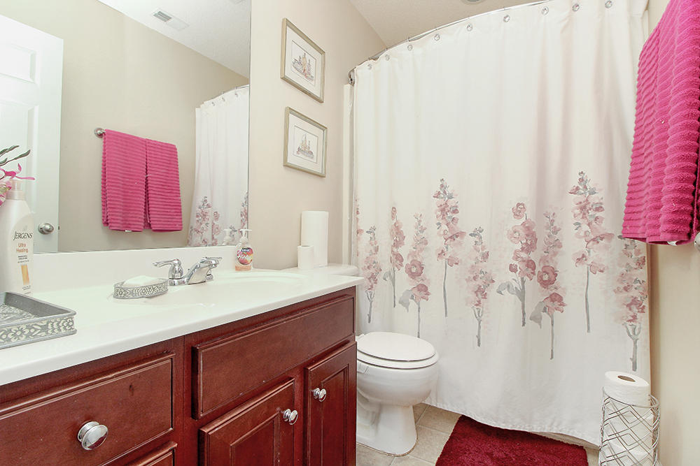 323 Briarbend Road Goose Creek, SC 29445 - Photo 13 of 22 Background13