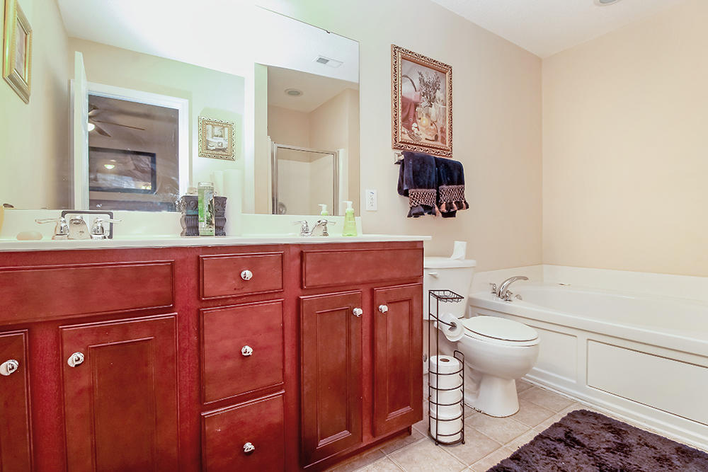 323 Briarbend Road Goose Creek, SC 29445 - Photo 18 of 22 Background18
