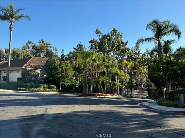 a view of street with palm trees