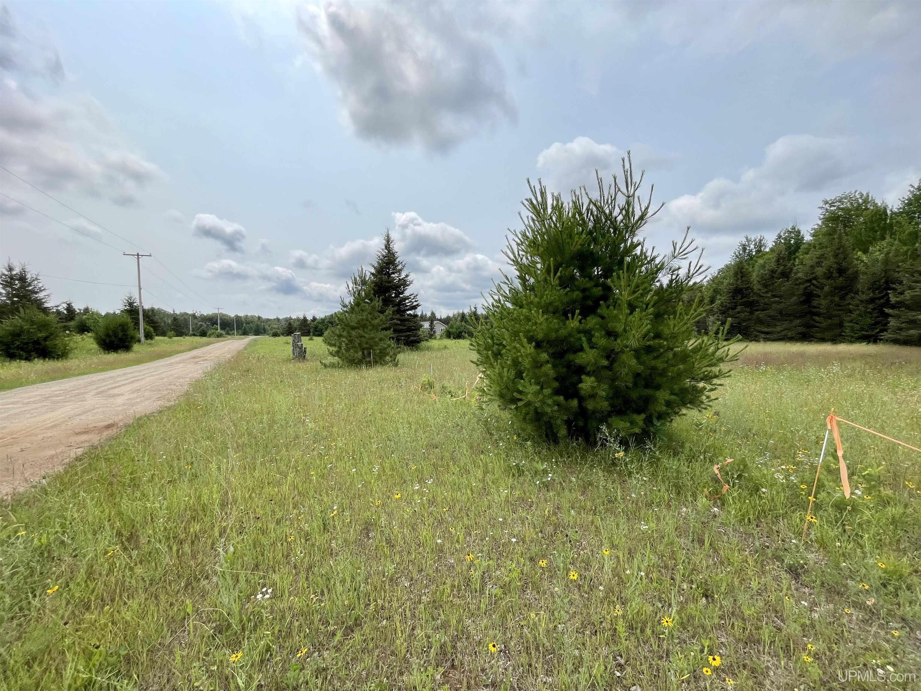 27.5 27.5 Road Gladstone, MI 49837 - Photo 3 of 7