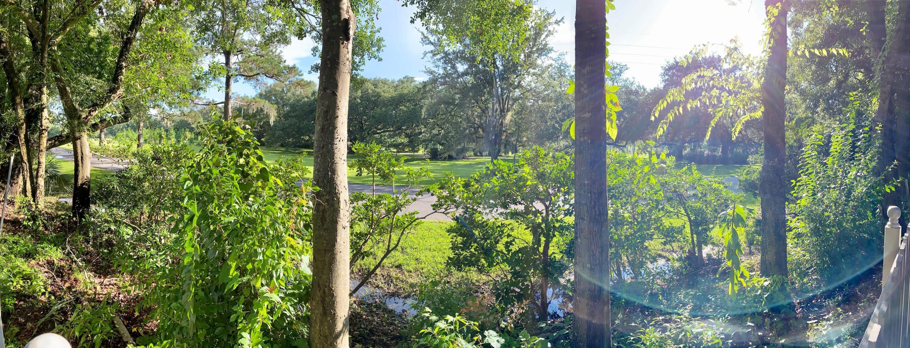 42 Colleton Drive Charleston, SC 29407 - Photo 50 of 58 IMG_0015