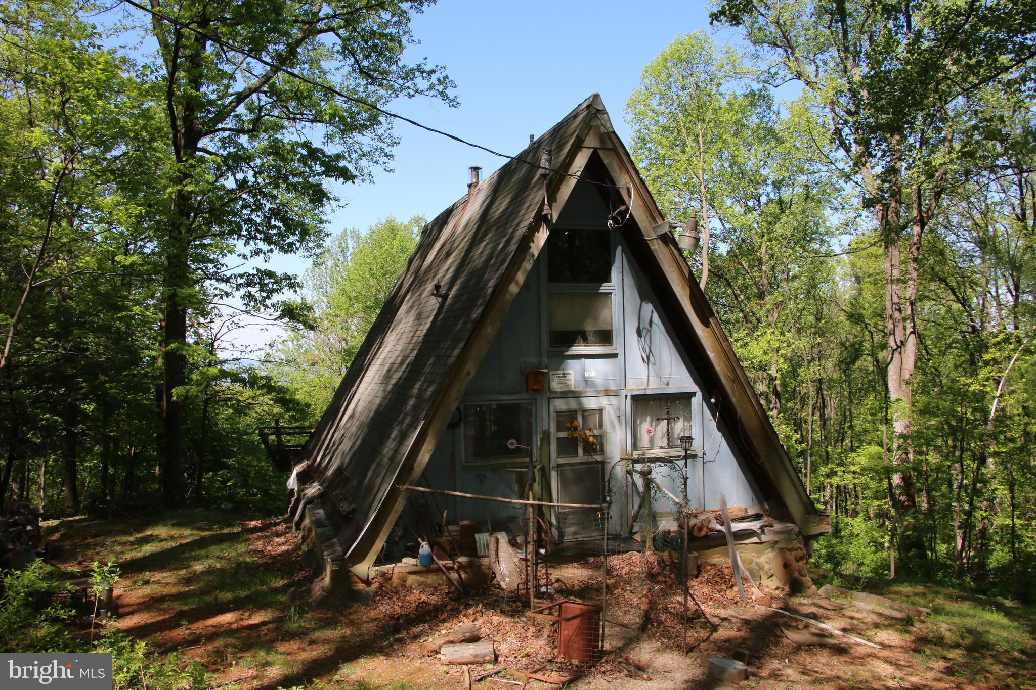 4011 Blue Mountain Road Front Royal, VA 22630 - Photo 1 of 44
