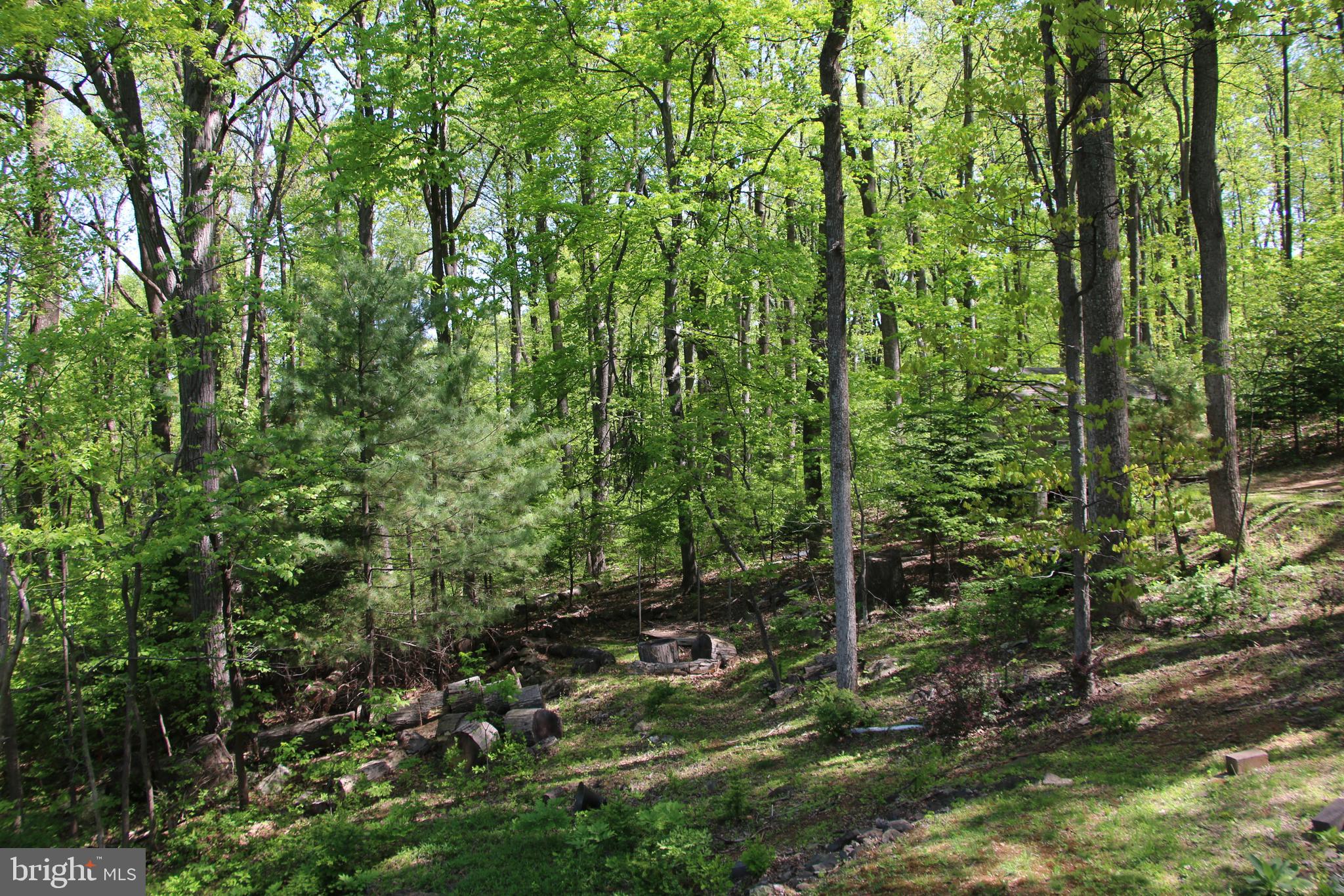 4011 Blue Mountain Road Front Royal, VA 22630 - Photo 11 of 44