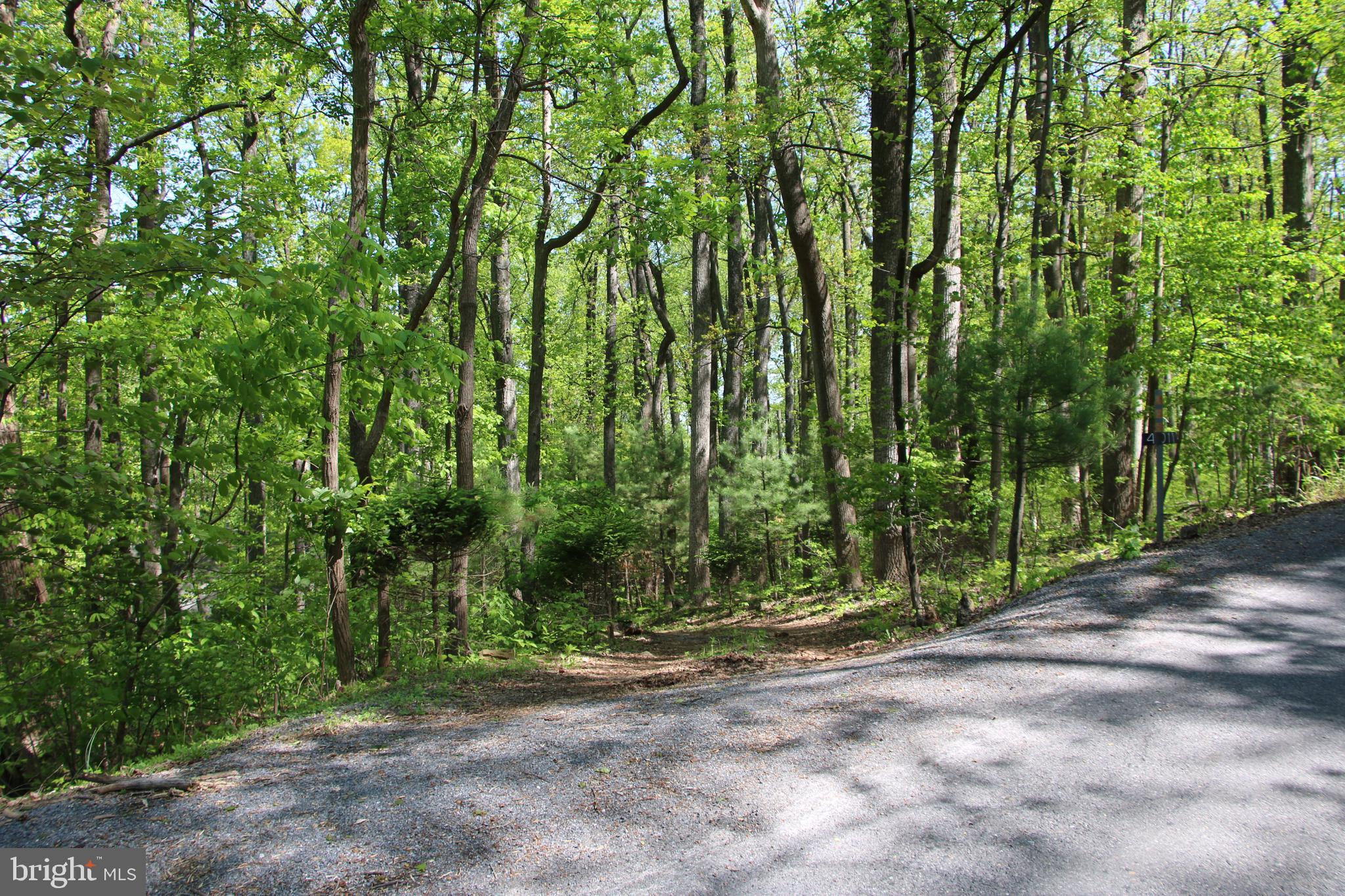 4011 Blue Mountain Road Front Royal, VA 22630 - Photo 2 of 44