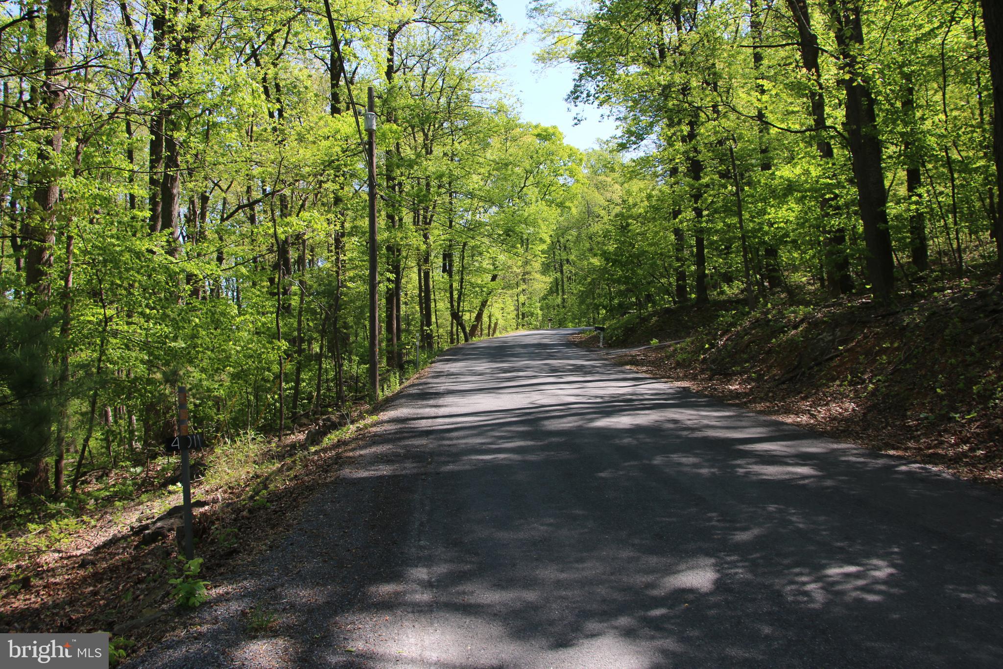 4011 Blue Mountain Road Front Royal, VA 22630 - Photo 28 of 44