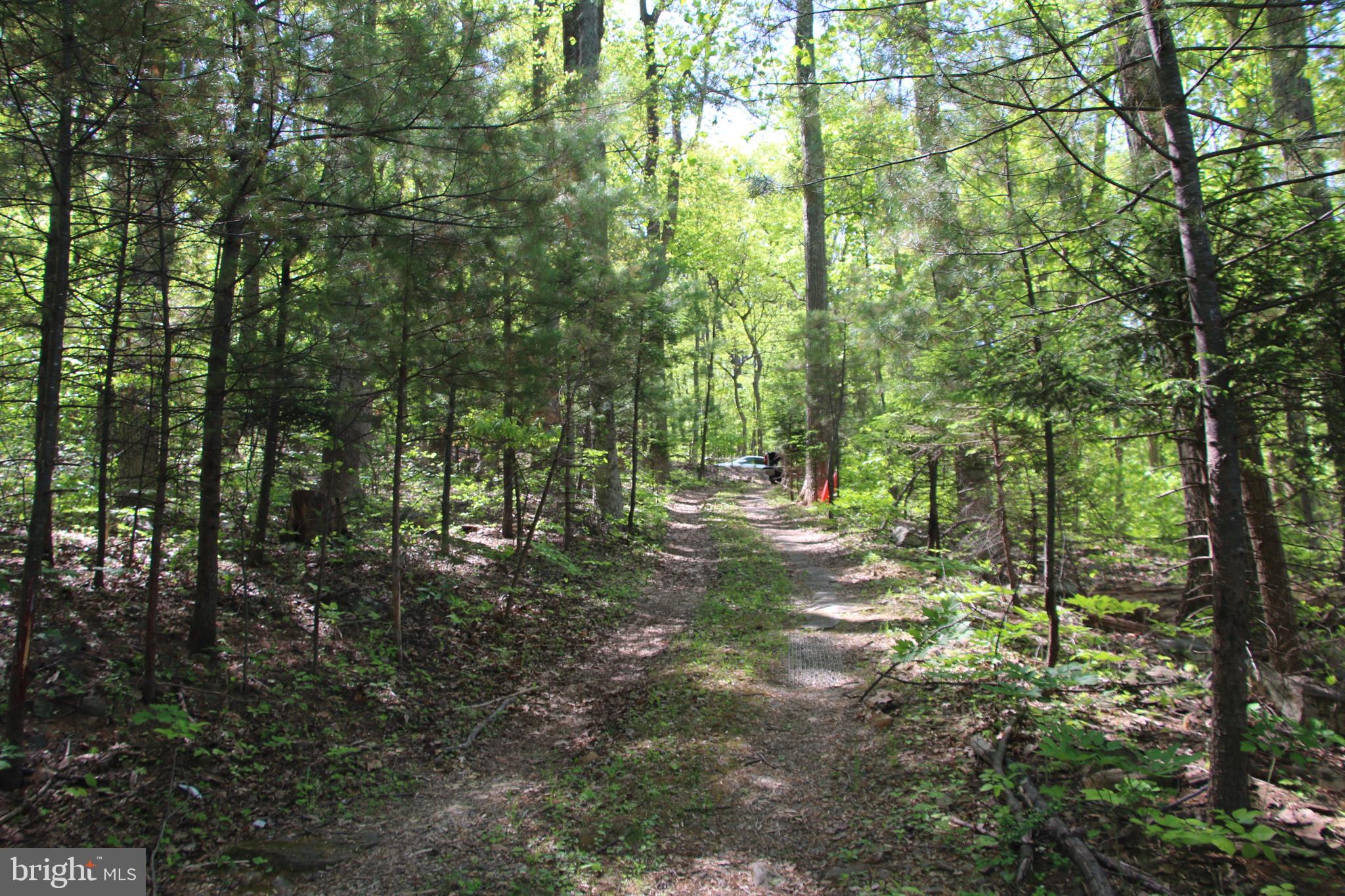 4011 Blue Mountain Road Front Royal, VA 22630 - Photo 3 of 44