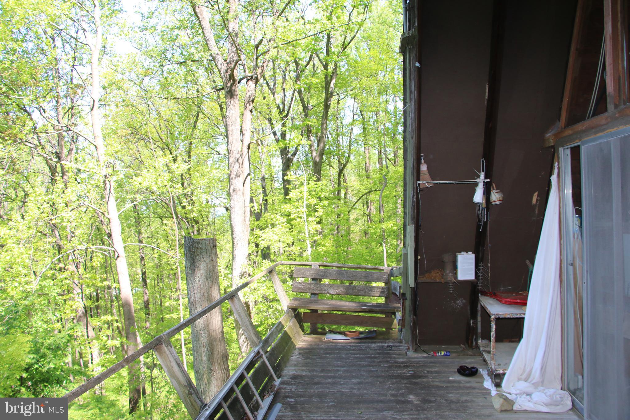 4011 Blue Mountain Road Front Royal, VA 22630 - Photo 33 of 44