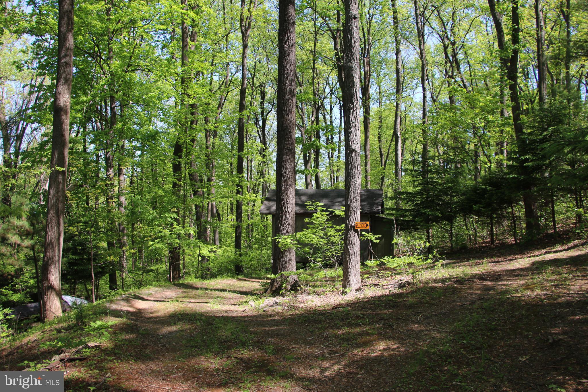 4011 Blue Mountain Road Front Royal, VA 22630 - Photo 4 of 44