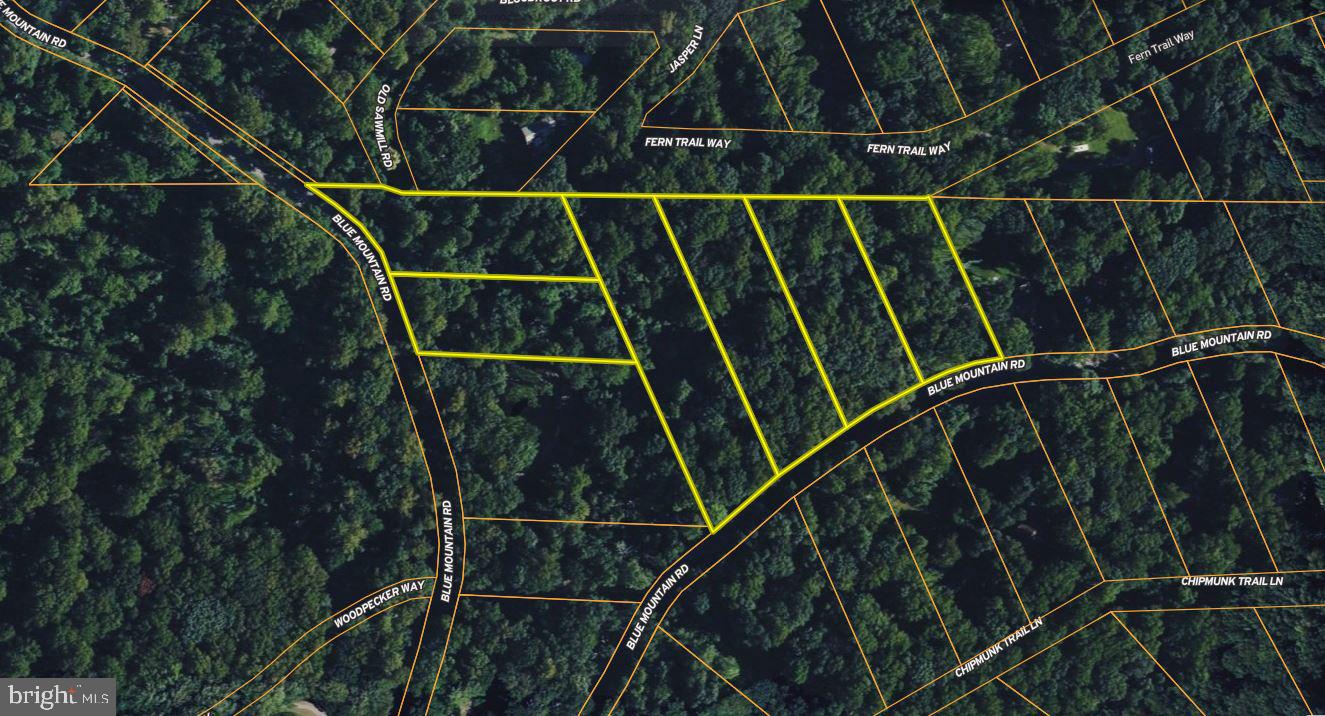 4011 Blue Mountain Road Front Royal, VA 22630 - Photo 42 of 44