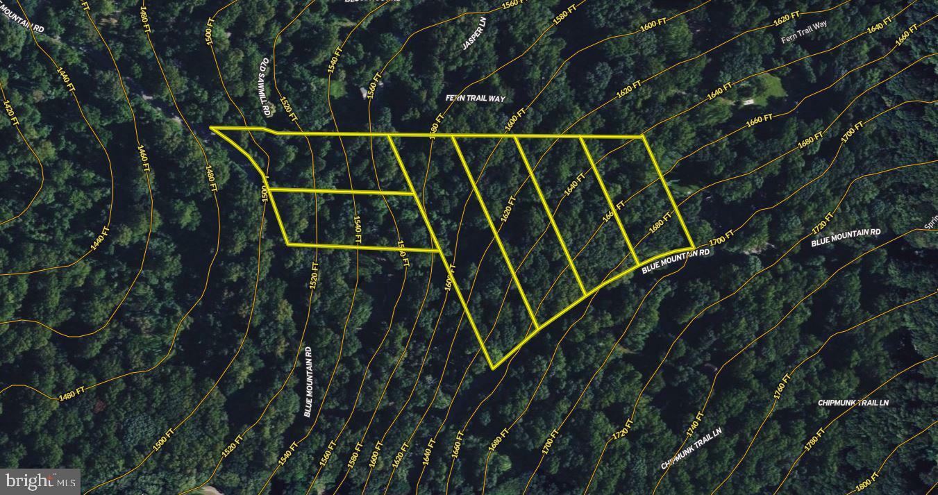 4011 Blue Mountain Road Front Royal, VA 22630 - Photo 44 of 44