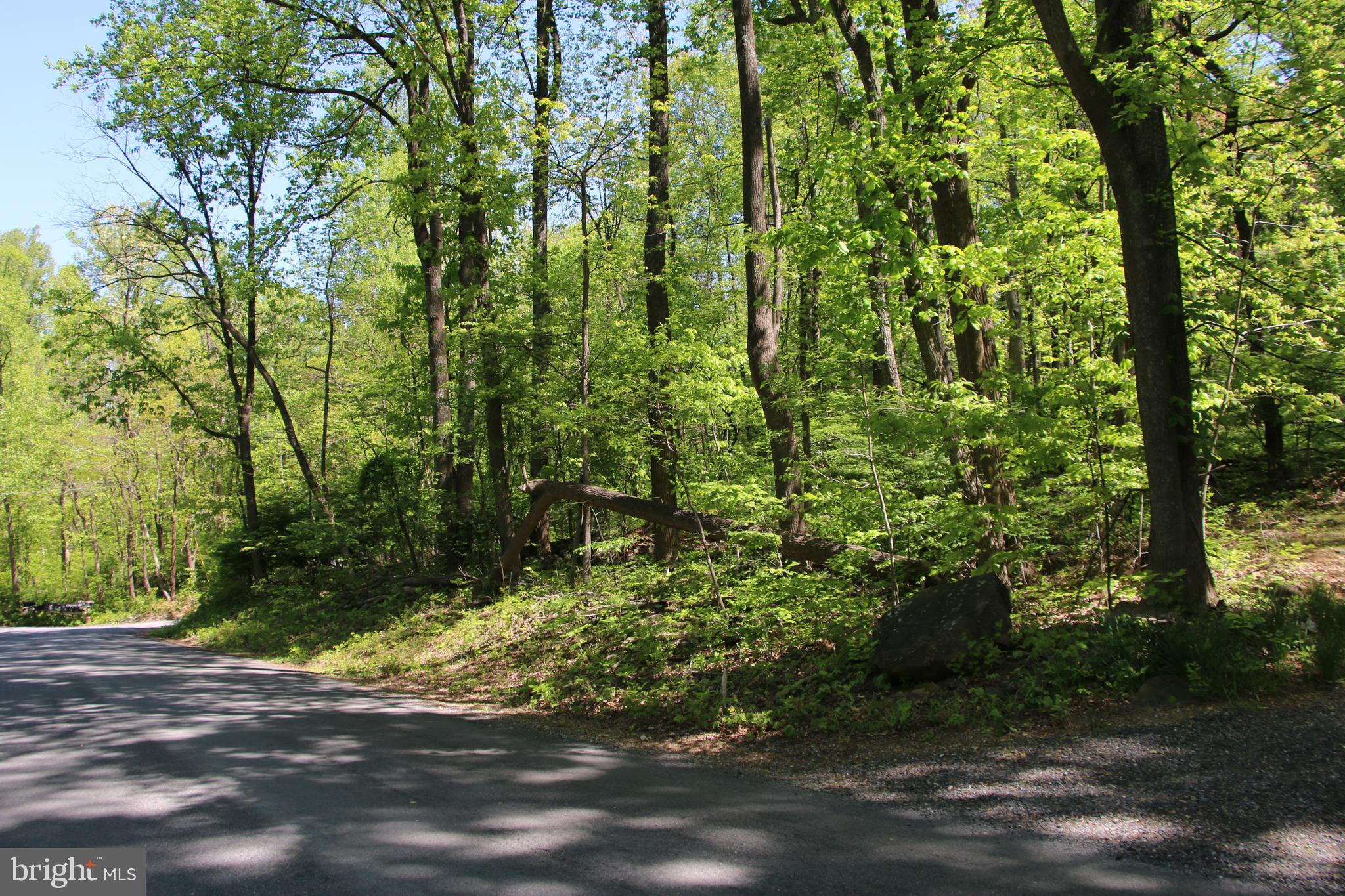 4011 Blue Mountain Road Front Royal, VA 22630 - Photo 6 of 44
