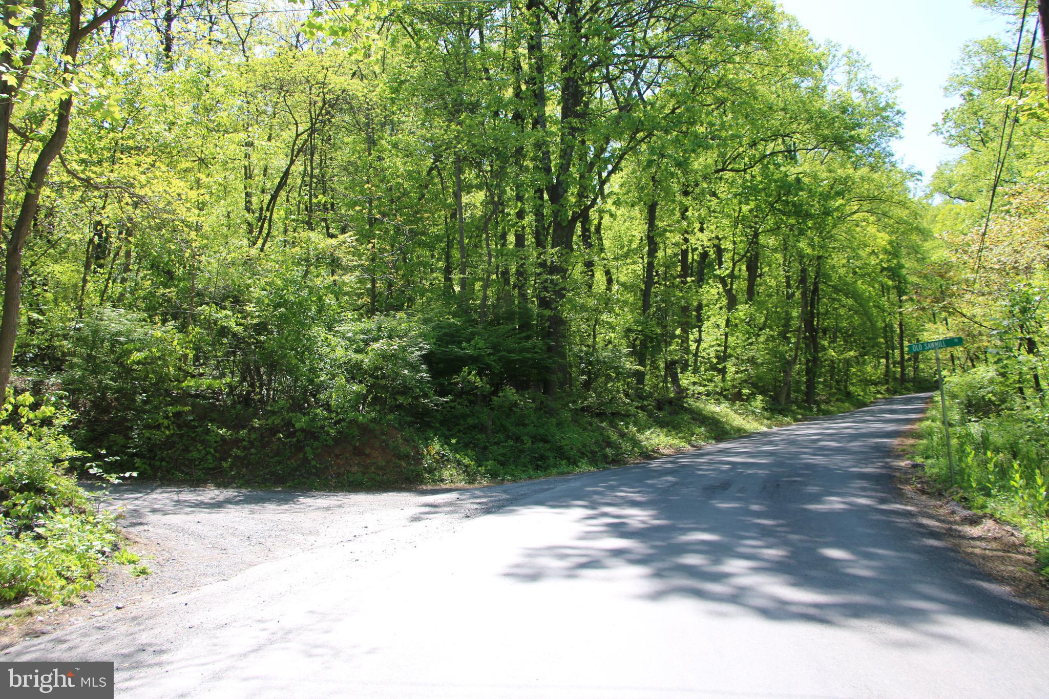 4011 Blue Mountain Road Front Royal, VA 22630 - Photo 9 of 44
