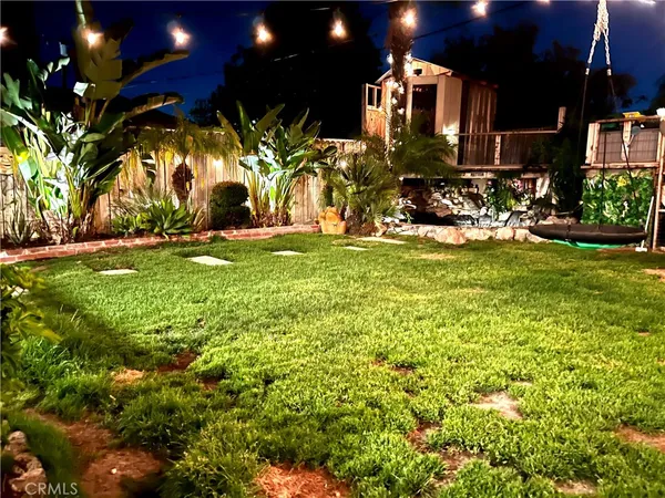 a view of a big yard with plants