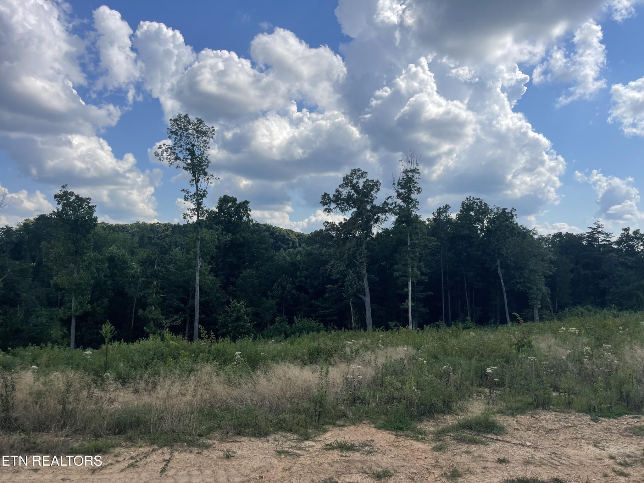 19 Laura Boling Loop Road Strawberry Plains, TN 37871 - Photo 1 of 2 Gallery Image 1