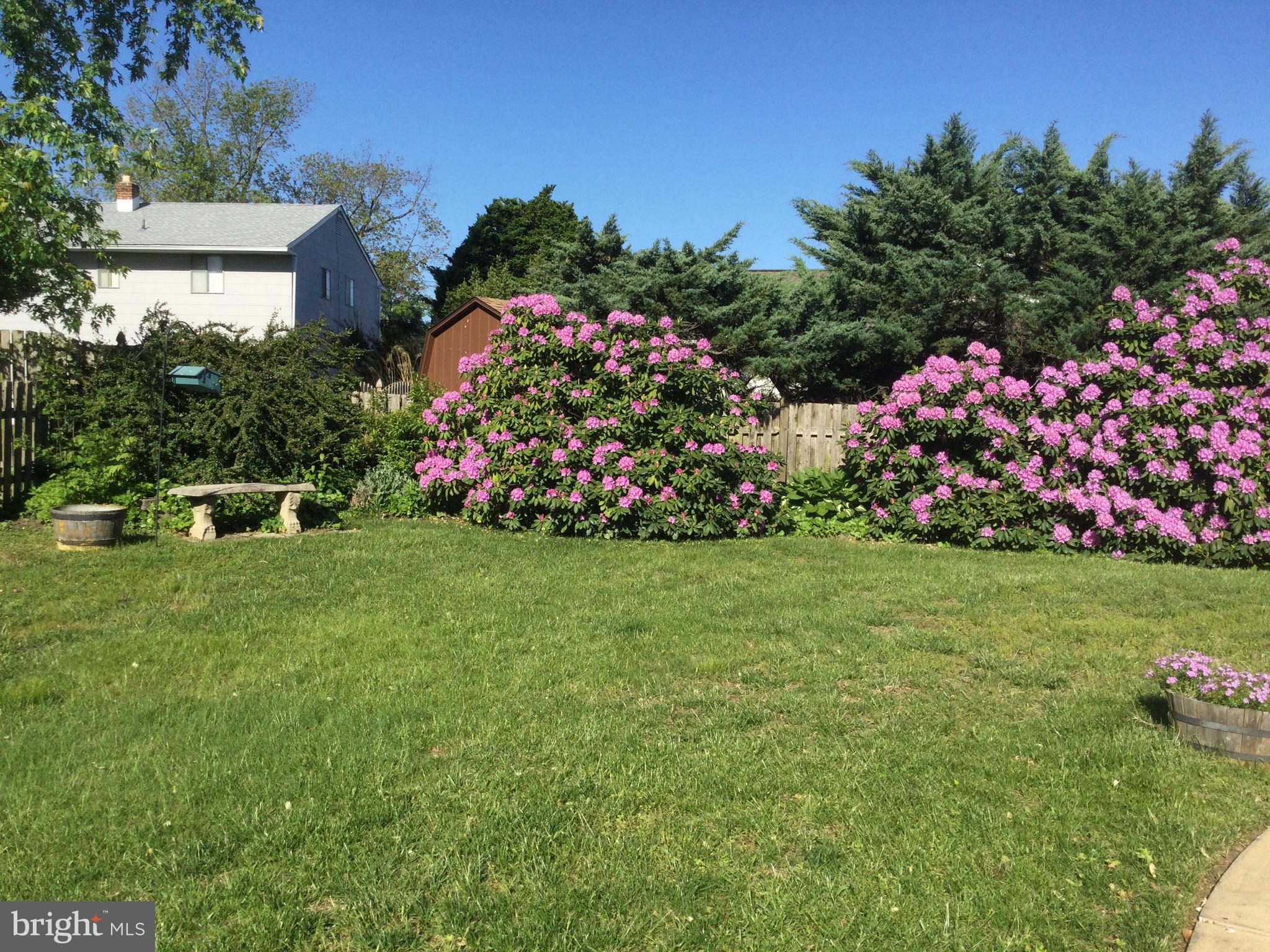 106 Saddle Ridge Road Voorhees, NJ 08043 - Photo 46 of 49 Beautiful landscaping