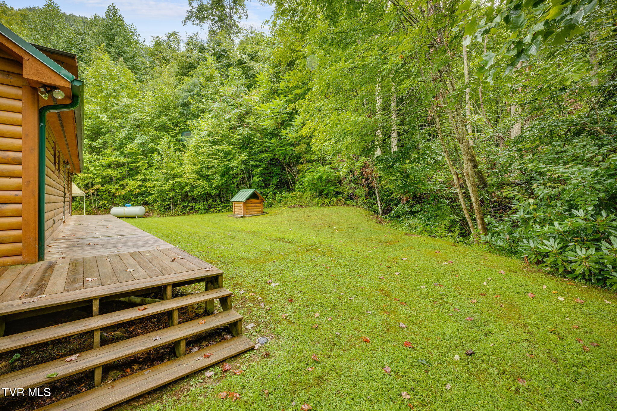 1120 Heaton Branch Road Butler, TN 37640 - Photo 32 of 45 31