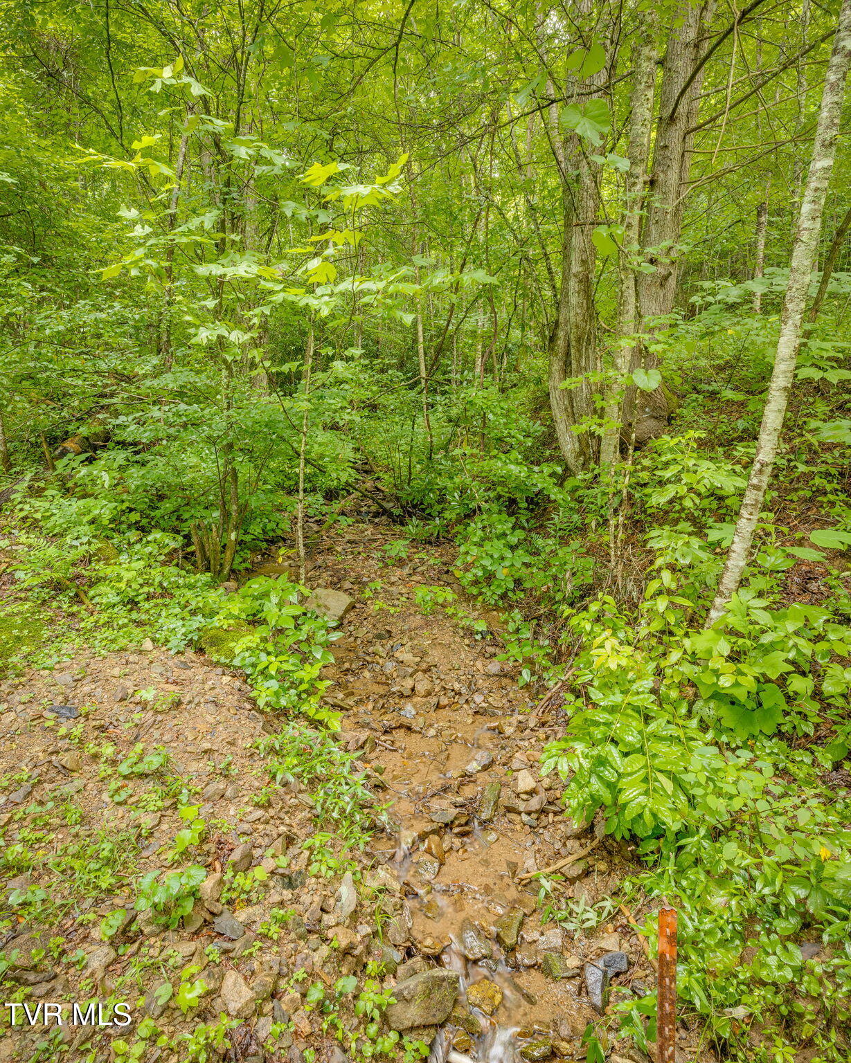 1120 Heaton Branch Road Butler, TN 37640 - Photo 36 of 45 35