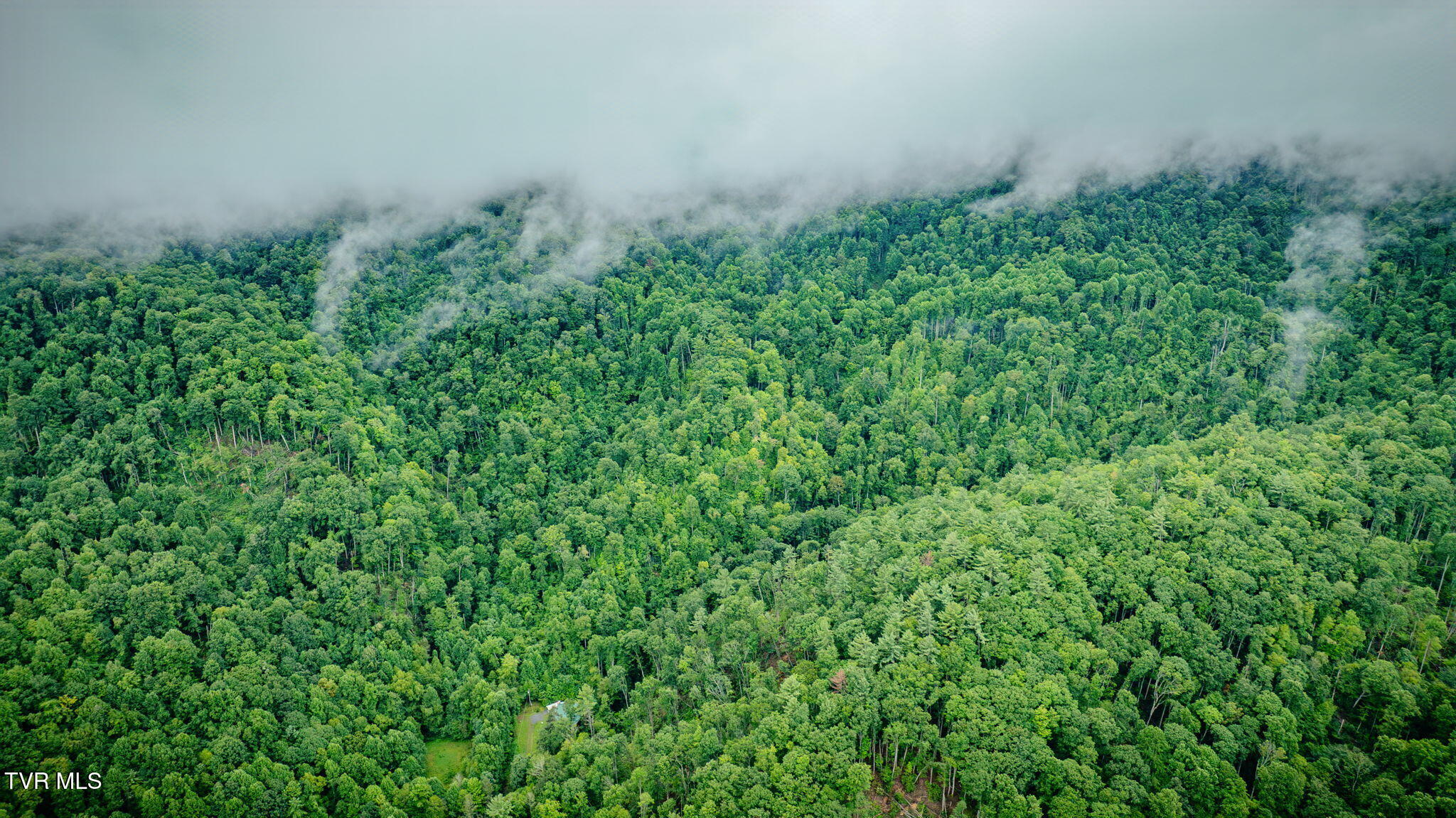 1120 Heaton Branch Road Butler, TN 37640 - Photo 40 of 45 40