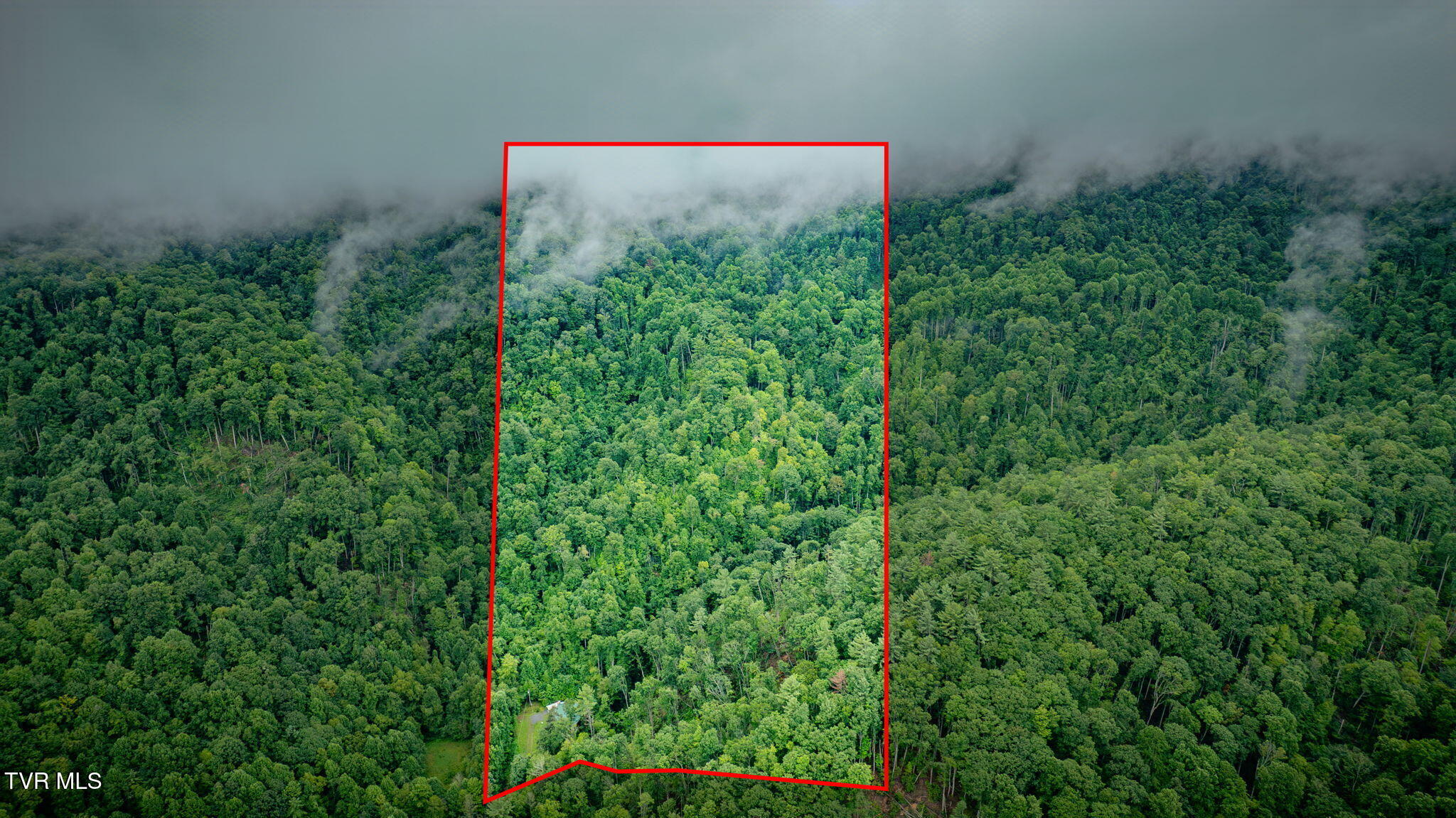 1120 Heaton Branch Road Butler, TN 37640 - Photo 41 of 45 41