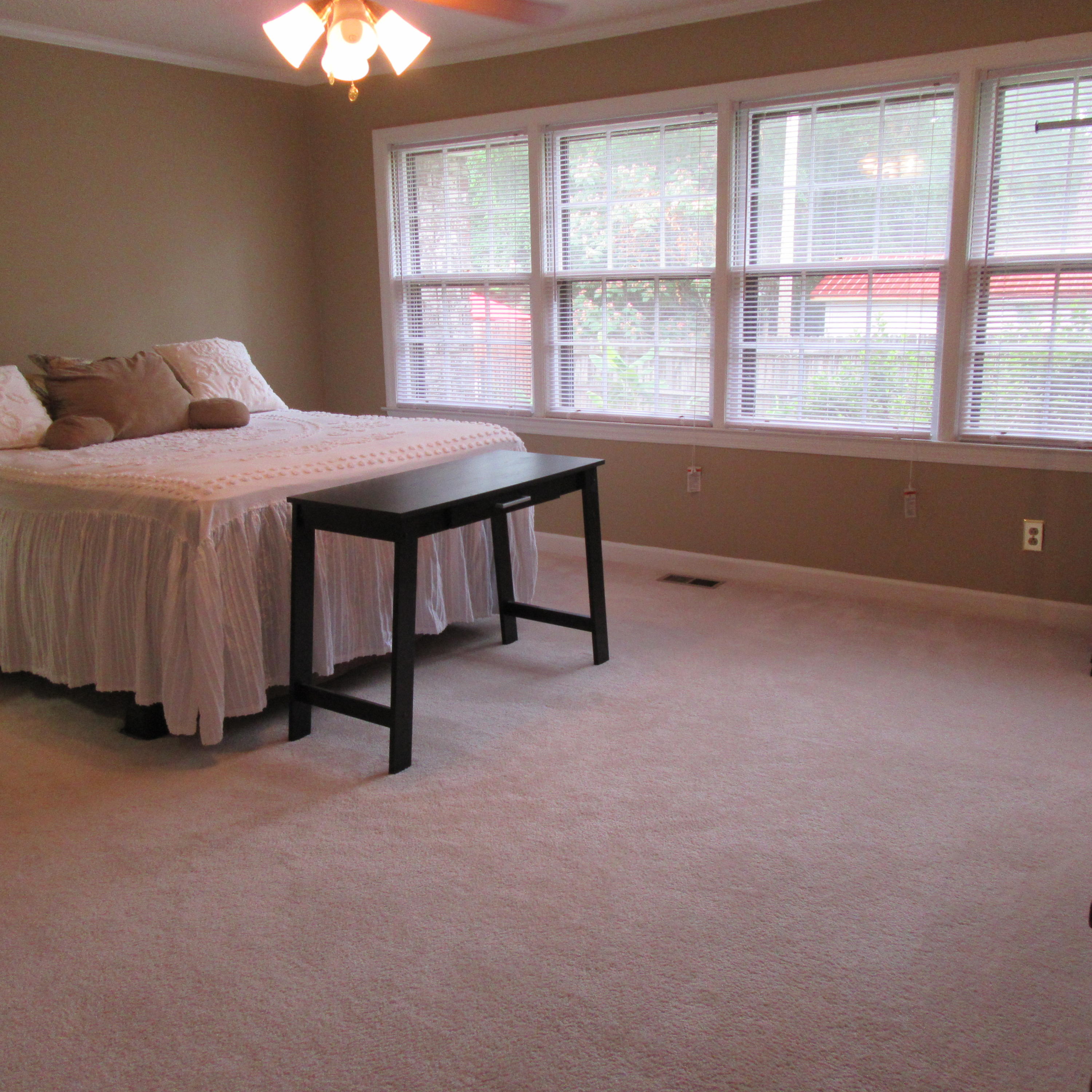 292 Chamblee Road Walterboro, SC 29488 - Photo 13 of 19 IMG_0874