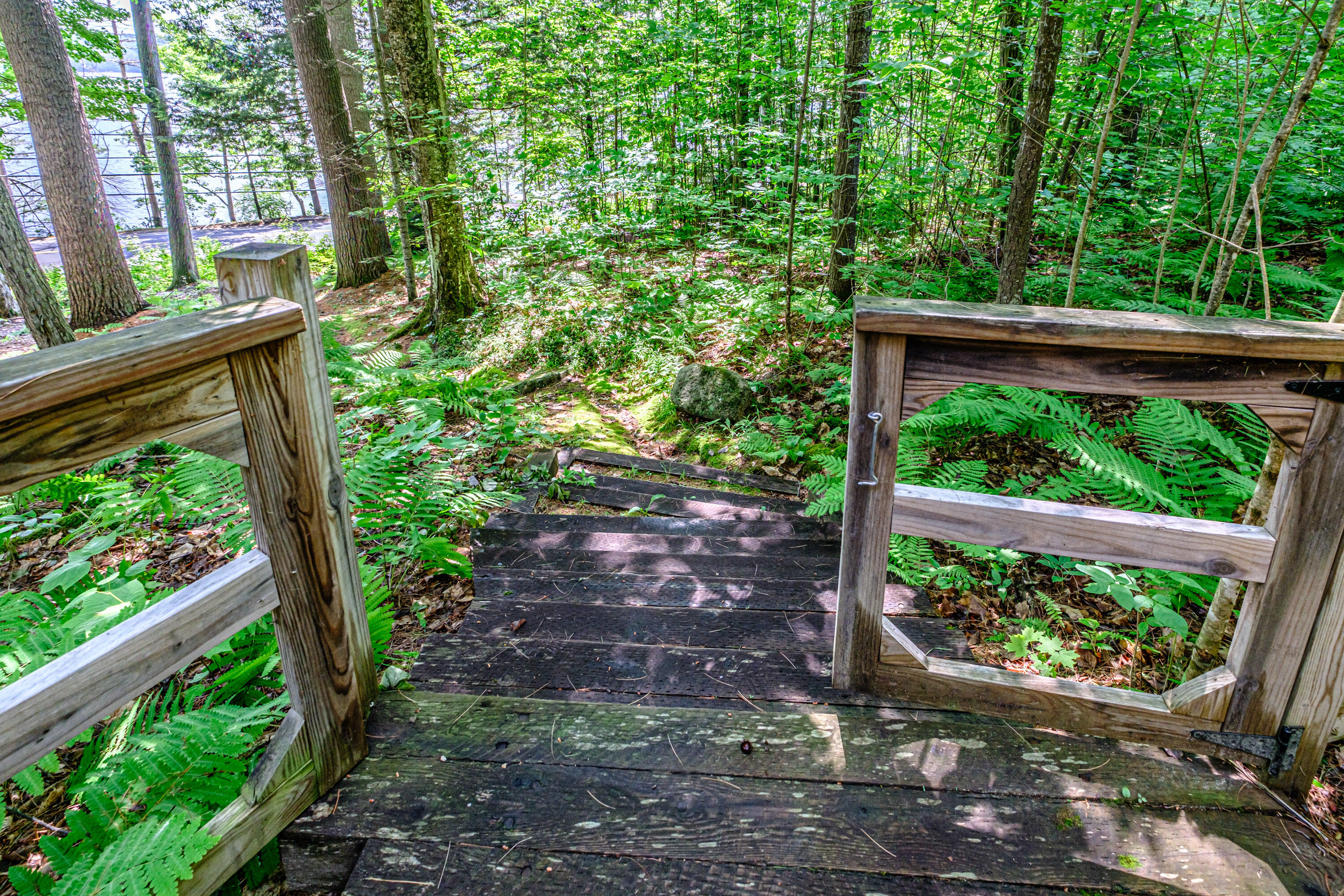 28 Pine Tree Road Waterford, ME 04088 - Photo 91 of 94 20260701gp-60208