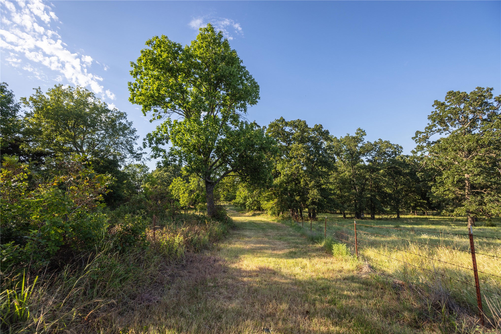 0 West Dunkin Road Cushing, OK 74023 - Photo 33 of 62 Expansive natural landscape with a clear pathway, mature trees, and open grassy areas, bordered by a wire fence