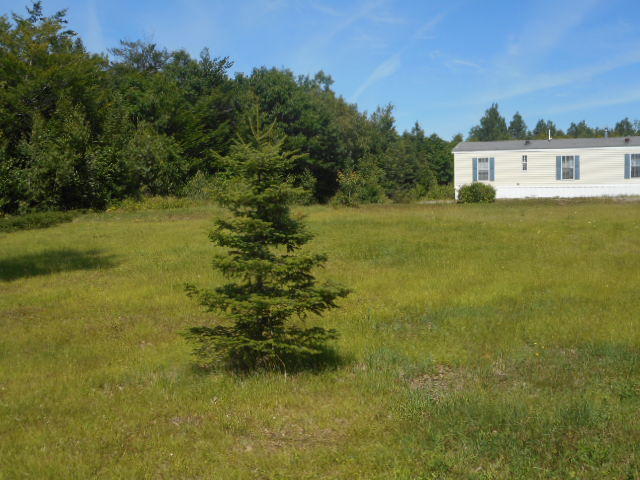 579 West Old Main Road Lowell, ME 04493 - Photo 14 of 15 Exterior (2)