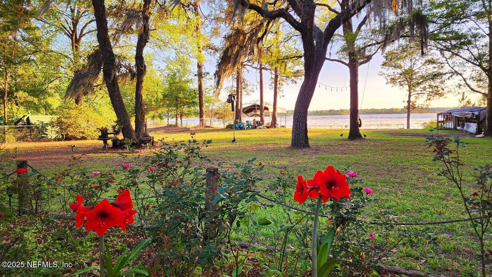 7140 Pinon Road Keystone Heights, FL 32656 - Photo 50 of 50 Flower garden