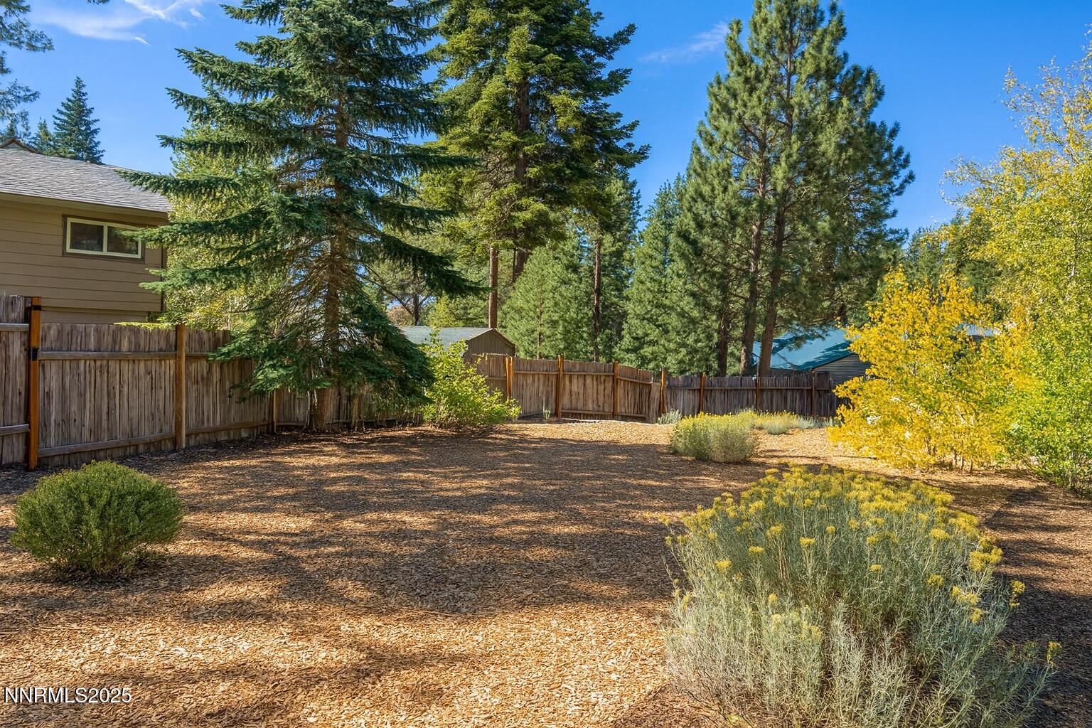 302 Griffin Court Stateline, NV 89449 - Photo 3 of 10 a backyard of a house with a tree