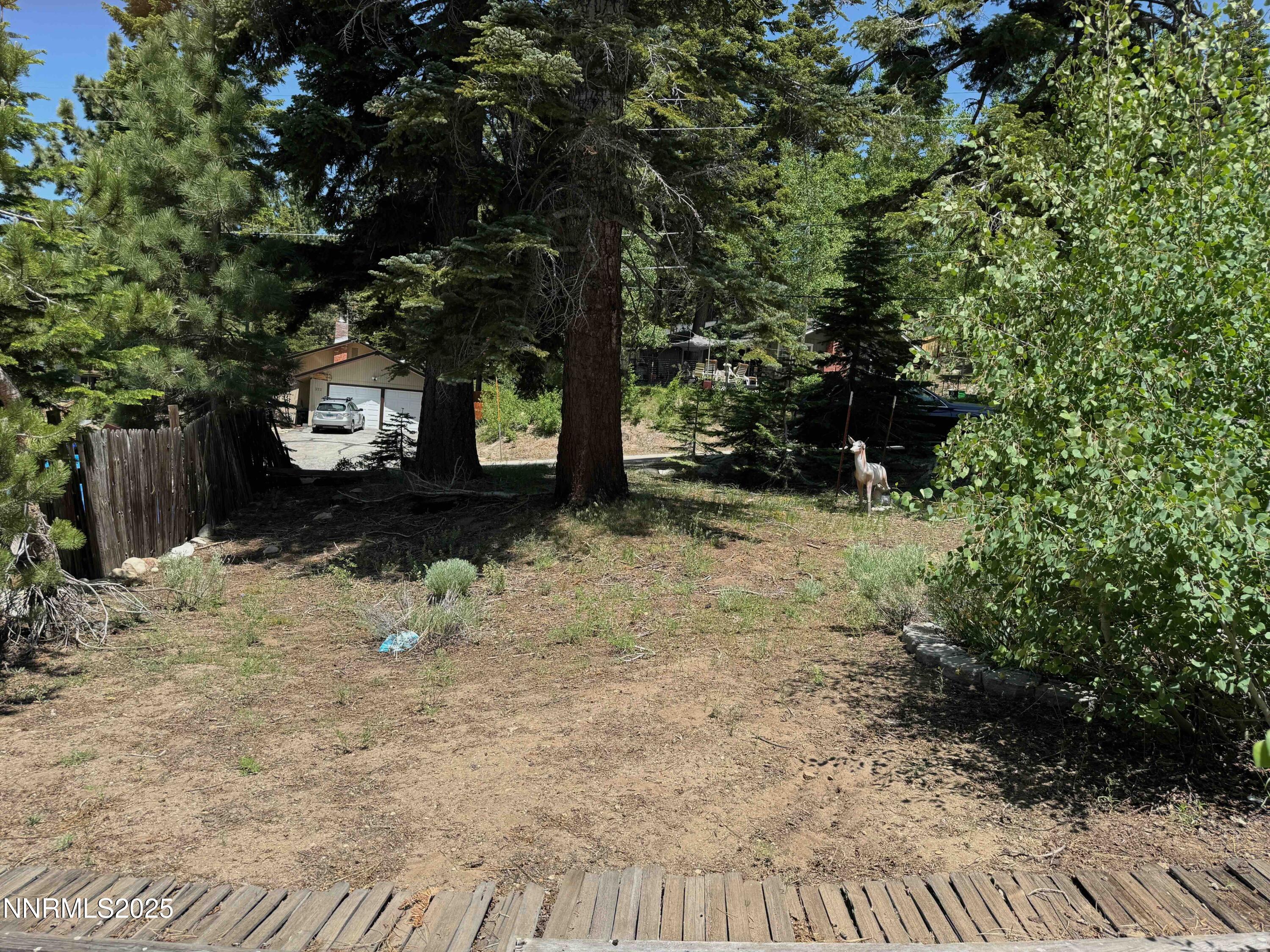 302 Griffin Court Stateline, NV 89449 - Photo 5 of 10 a backyard of a house with lots of green space