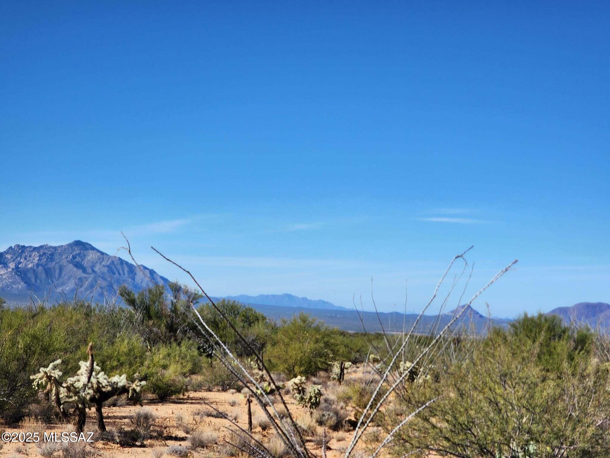 15801 South Stagecoach Road, Unit 383 Tucson, AZ 85736 - Photo 3 of 10