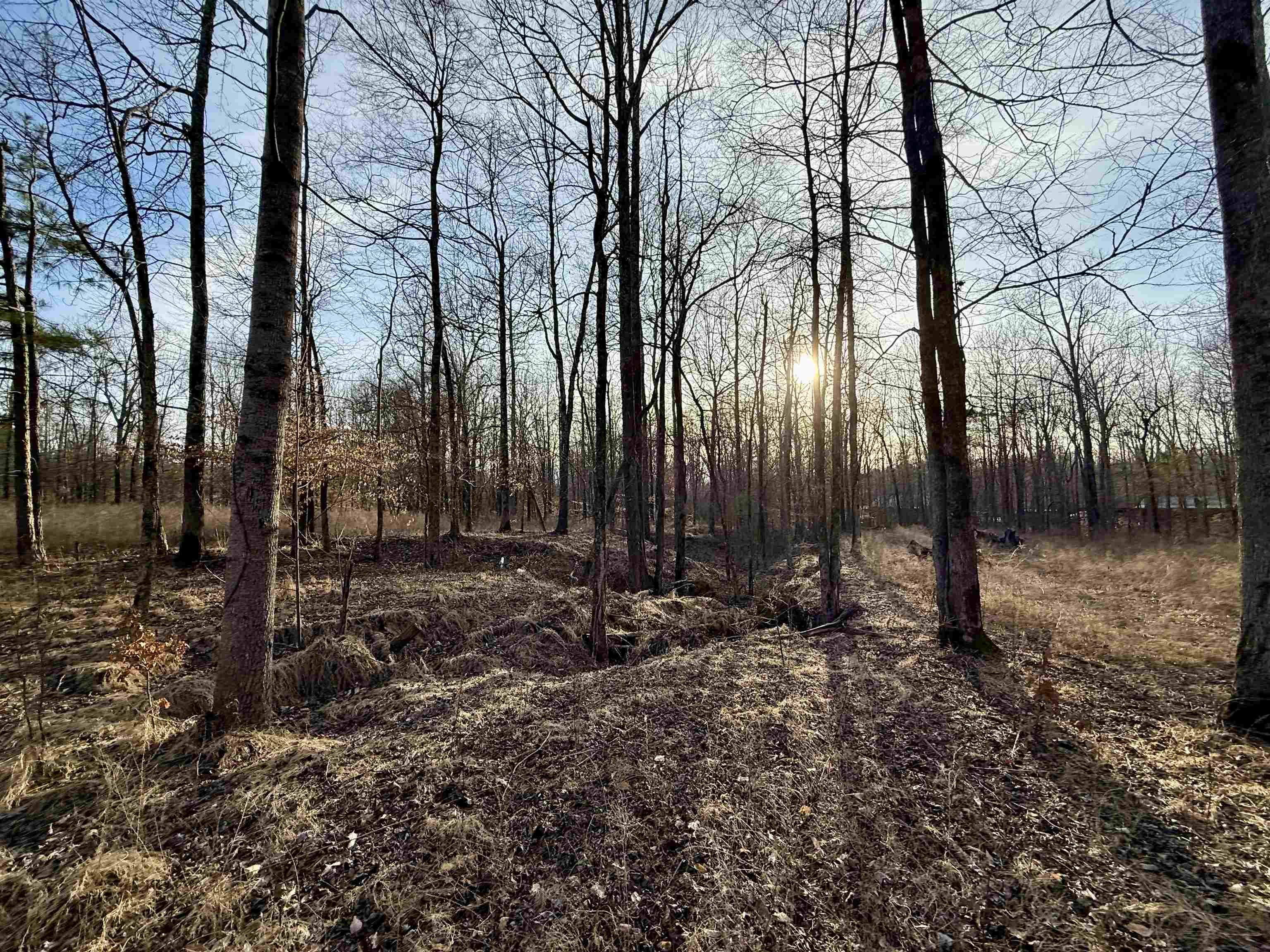 5-acres Monk House Road Somerville, TN 38068 - Photo 11 of 15 a backyard of a house with lots of green space