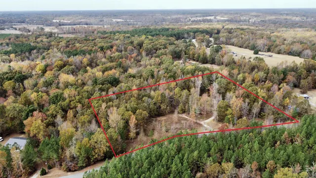 a view of a yard with trees