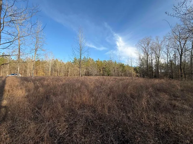 a backyard of a house with lots of tall trees
