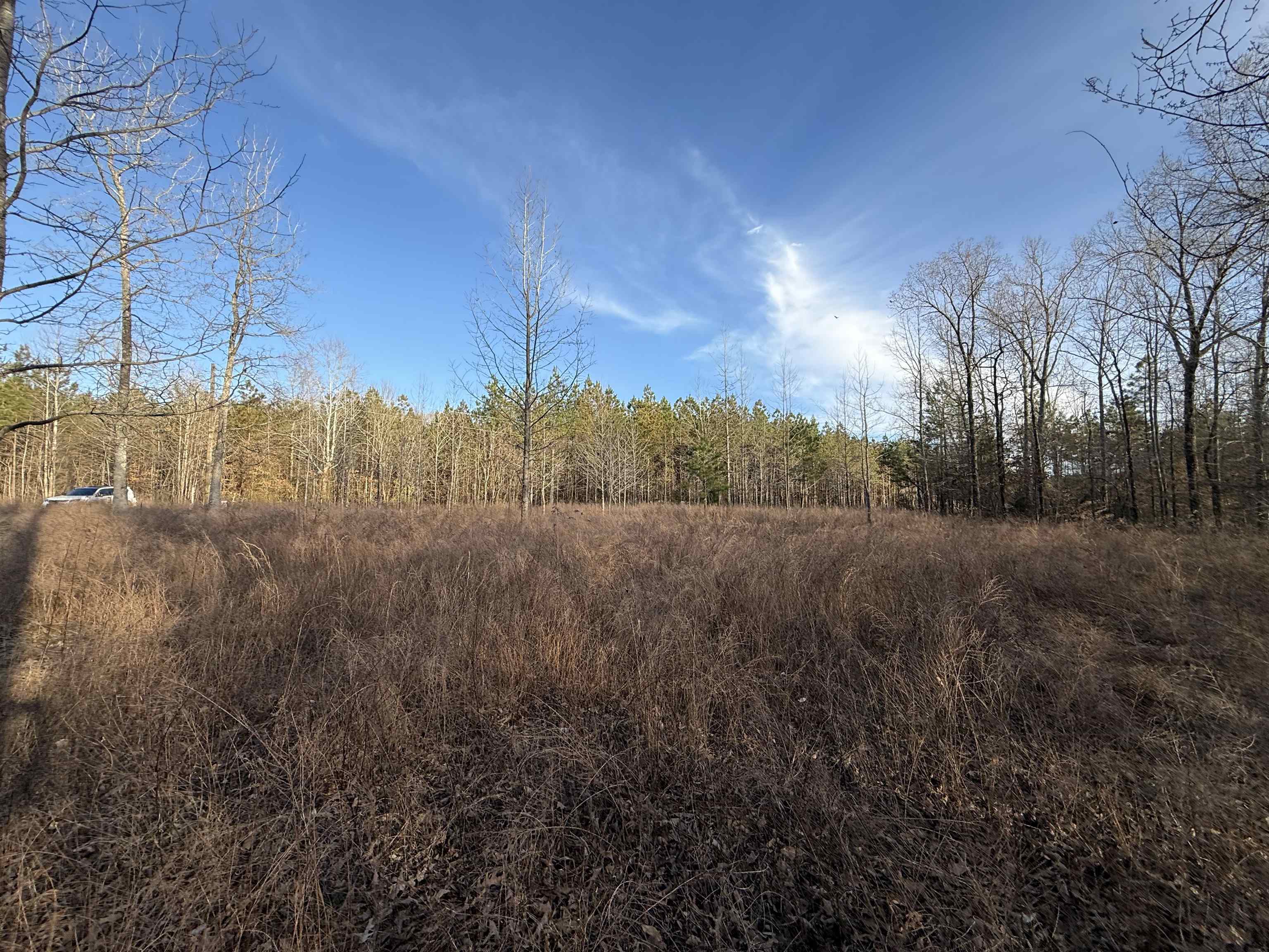 5-acres Monk House Road Somerville, TN 38068 - Photo 6 of 15 a view of a yard