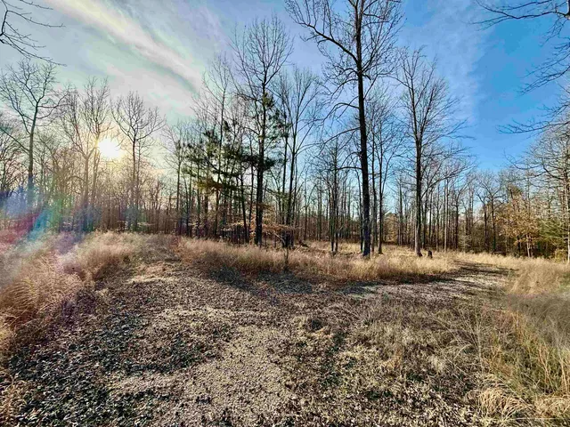 a view of outdoor space with green space