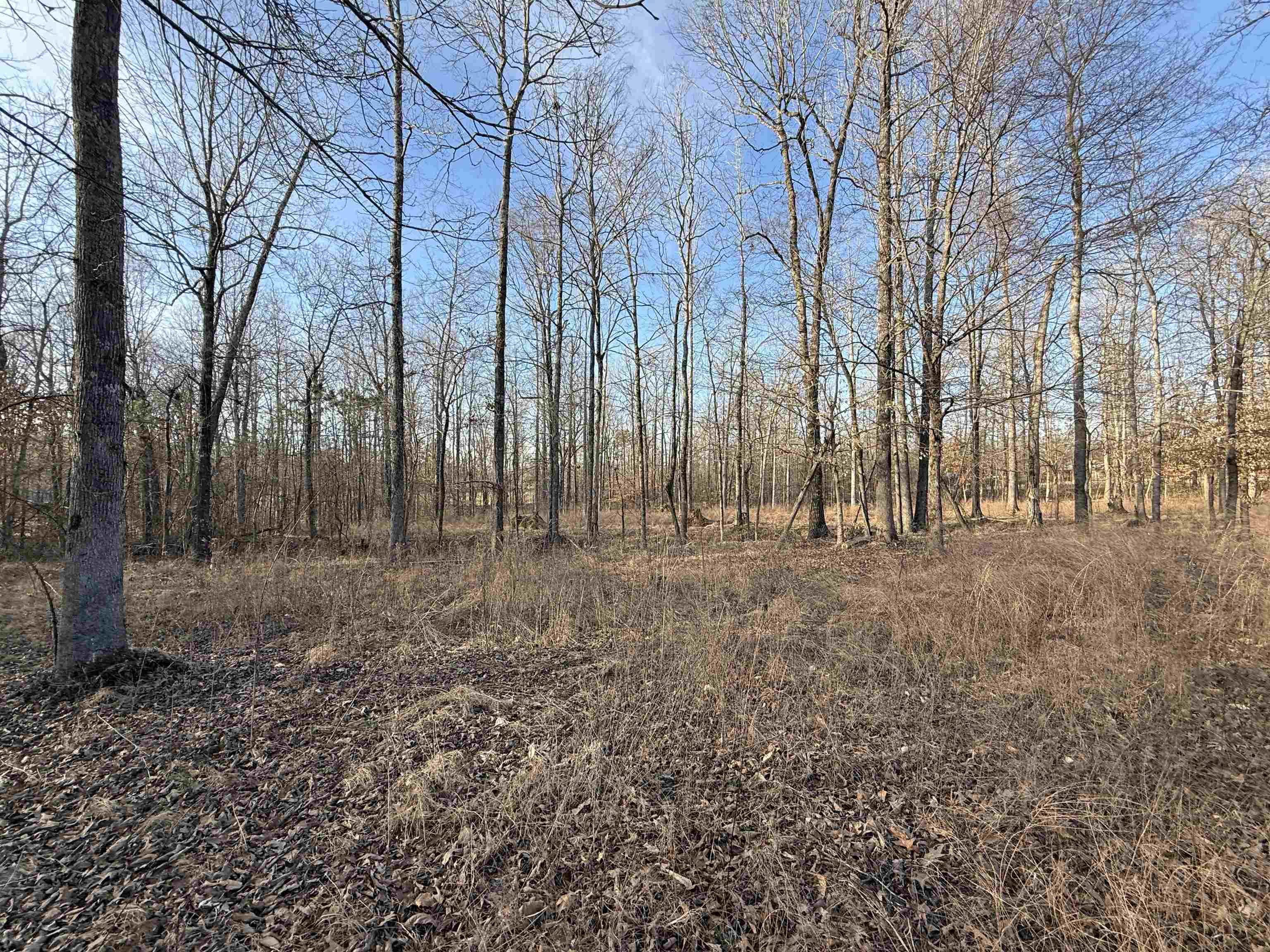 5-acres Monk House Road Somerville, TN 38068 - Photo 9 of 15 a view of outdoor space with green space