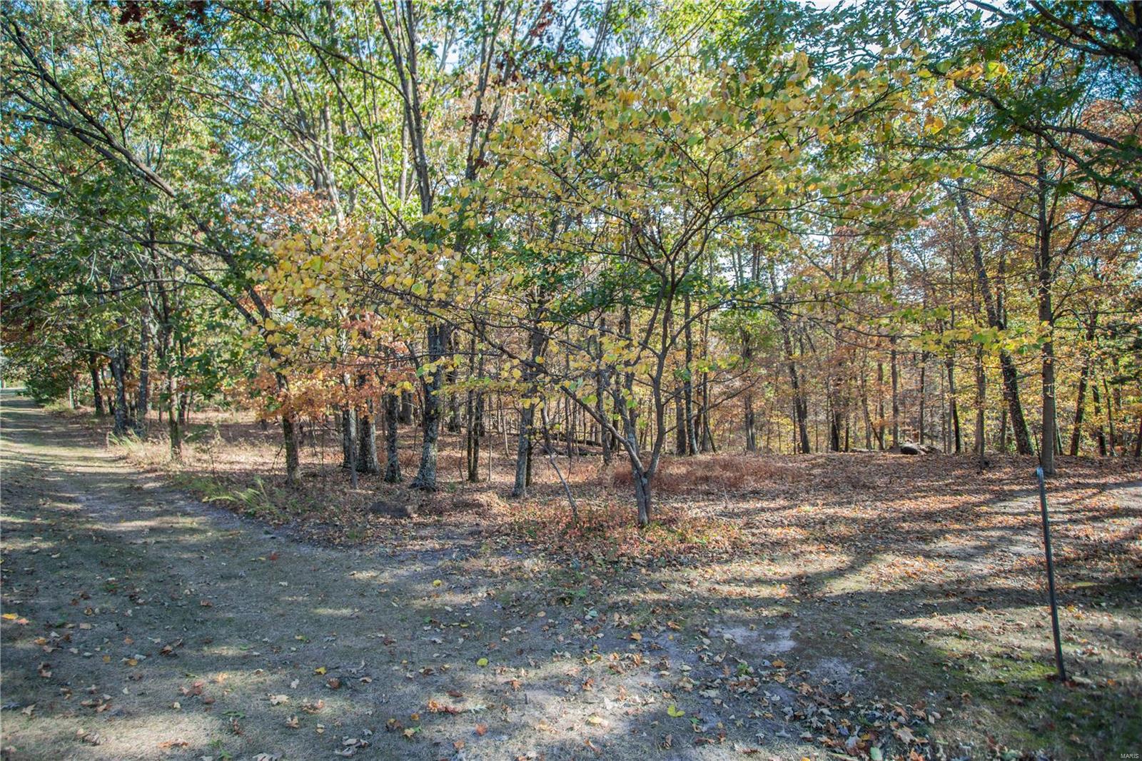 3801 Rooster Ridge Lane Defiance, MO 63341 - Photo 88 of 98 Gallery Image 88