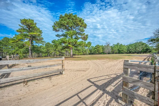 a view of a yard with wooden fence