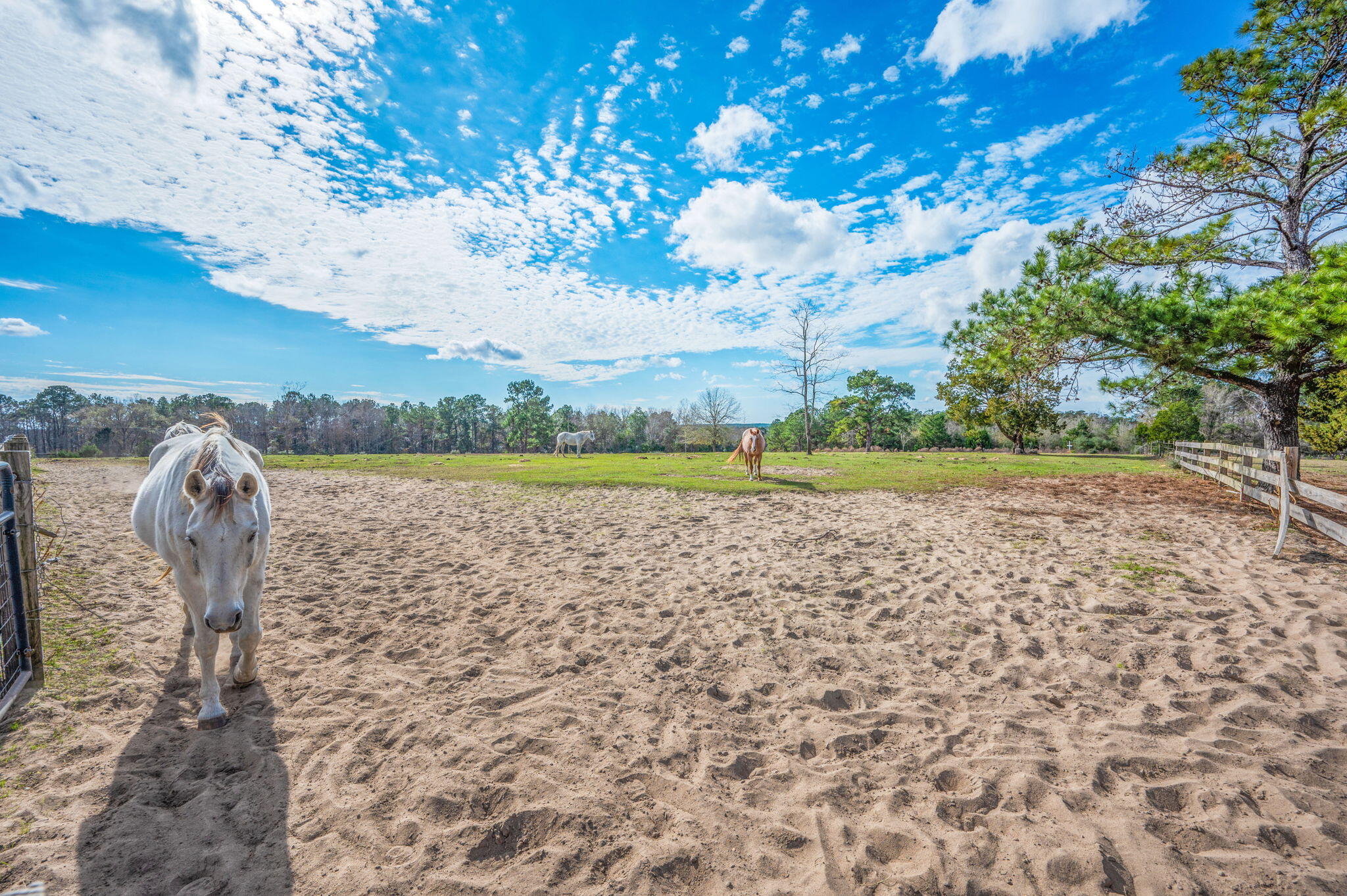 126 Tall Oaks Road DeFuniak Springs, FL 32435 - Photo 39 of 50 a view of lake with outdoor space