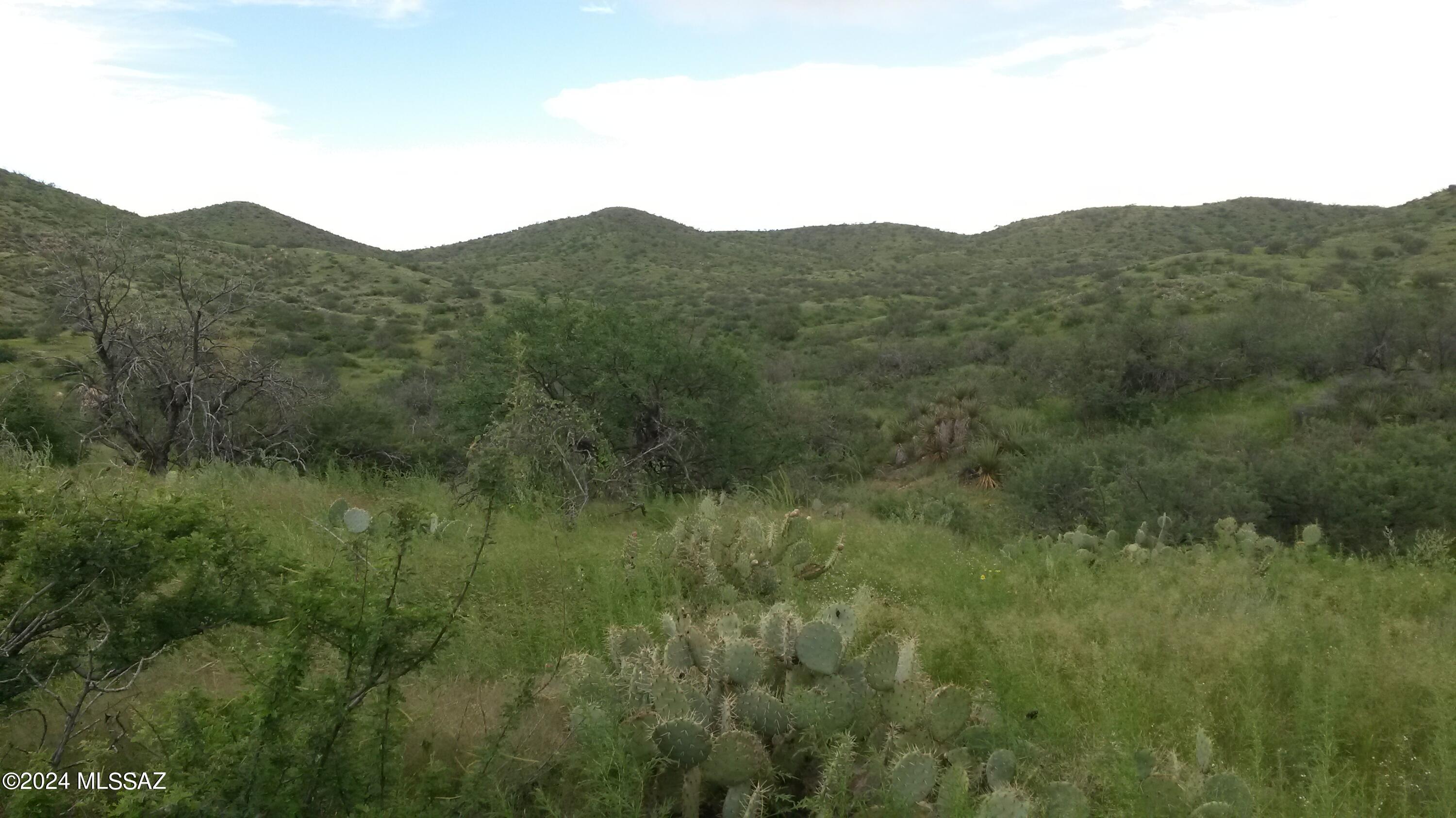 South Goodenough Trail Vail, AZ 85641 - Photo 1 of 13