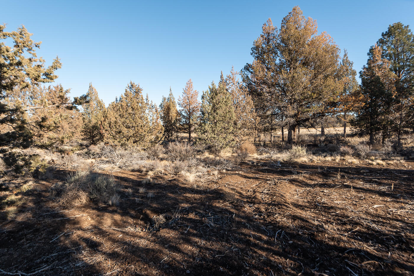 18955 Pinehurst Road Bend, OR 97703 - Photo 39 of 39 Pinehurst_Chris-2
