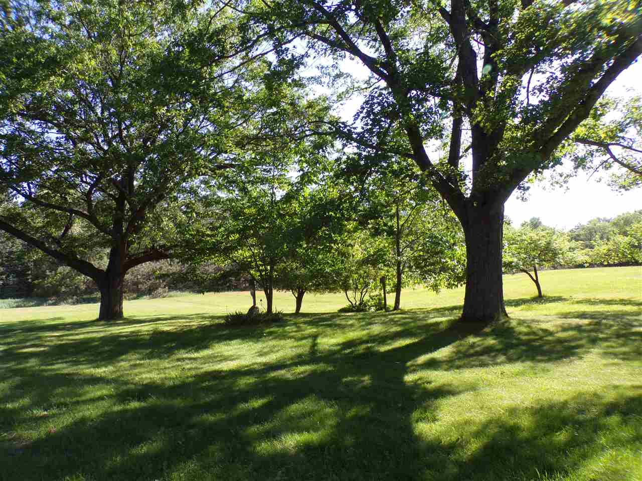 11277 South 33rd Road Tustin, MI 49688 - Photo 10 of 17 1848081-9.JPG