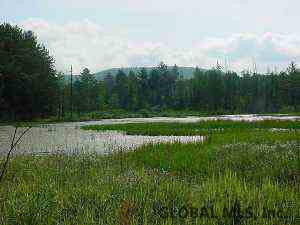 Clarence Russell Road Thurman, NY 12885 - Photo 6 of 12 Photo 6