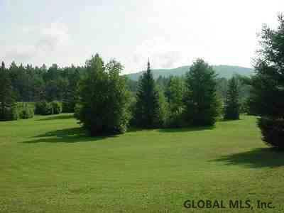 Clarence Russell Road Thurman, NY 12885 - Photo 8 of 12 Photo 8