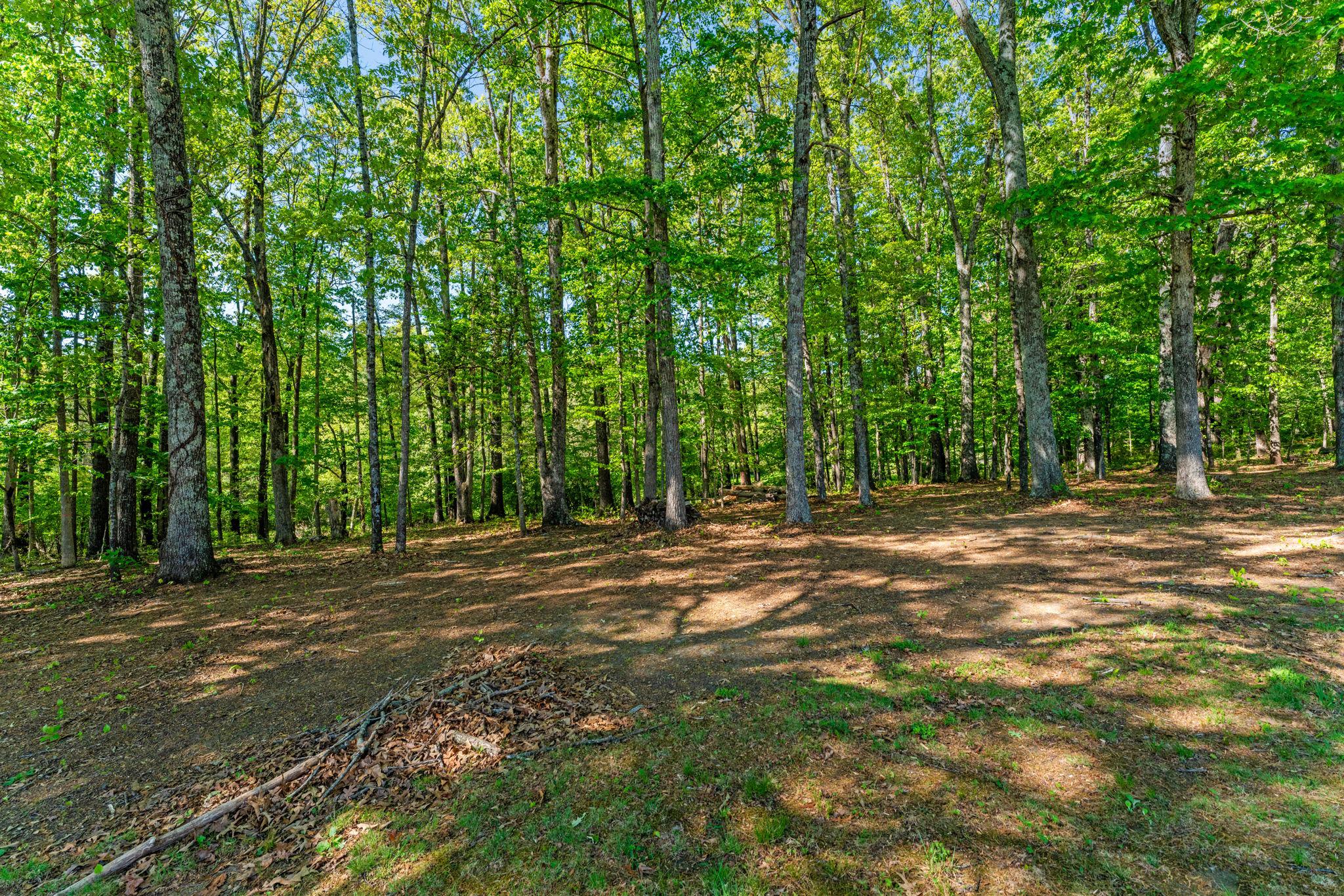3690 Beautiful Run Road Orange, VA 22960 - Photo 72 of 80 Nice blend of woods and open space on this lot