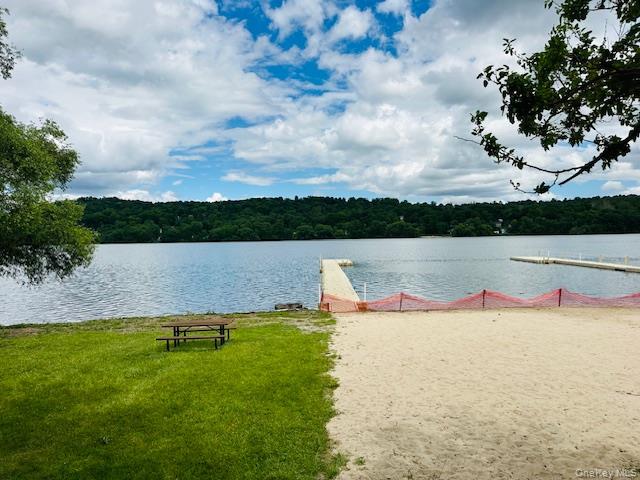 15 Roanoke Road Patterson, NY 12563 - Photo 46 of 48