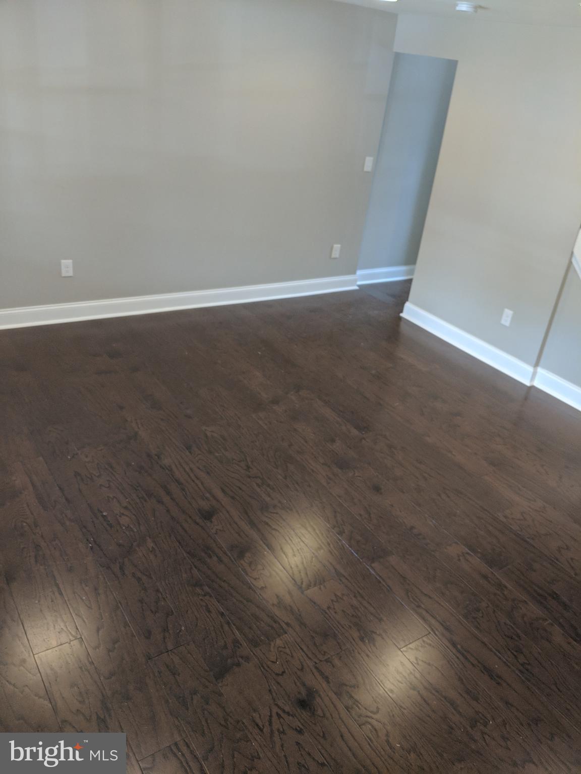 4209 Bonner Road Baltimore, MD 21216 - Photo 2 of 17 Interior (General)